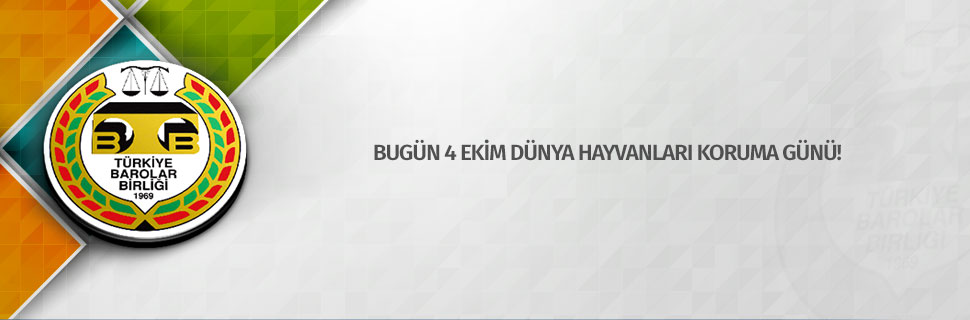 hayvan